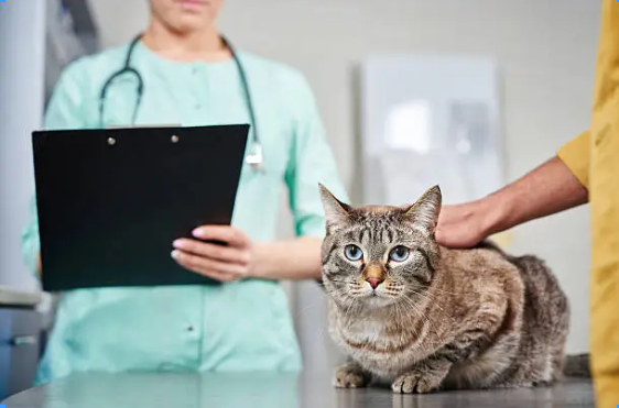 Why clinics need practice management software